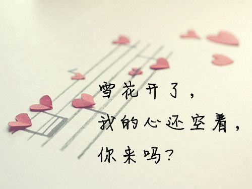 写情书的优美句子 情书大全表白