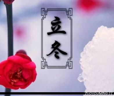 关于立冬好听的文案短句 2021立冬发朋友圈的心情说说