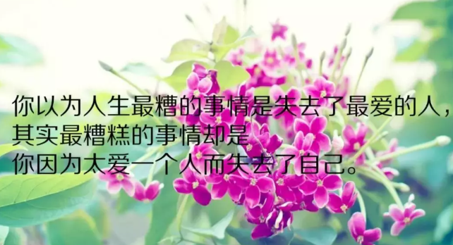 人生哲理感悟的句子