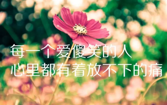 人生哲理感悟的句子