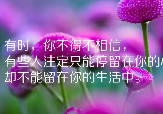 人生哲理感悟的句子