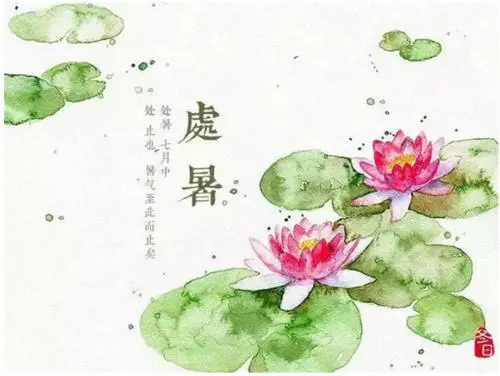 50句处暑文案 处暑发朋友圈配文