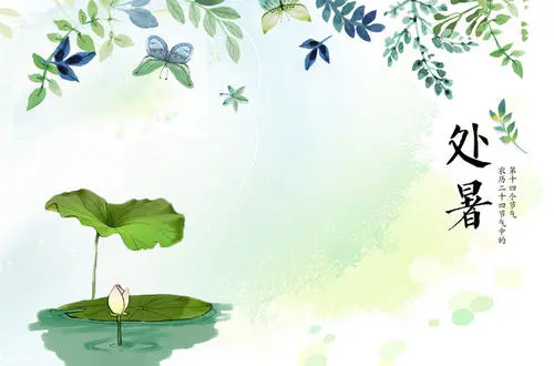 50句处暑文案 处暑发朋友圈配文