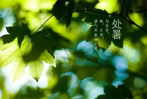 50句处暑文案 处暑发朋友圈配文