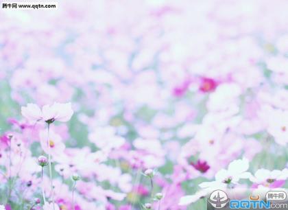 爱情励志说说致自己 2022全网最火抖音励志签名
