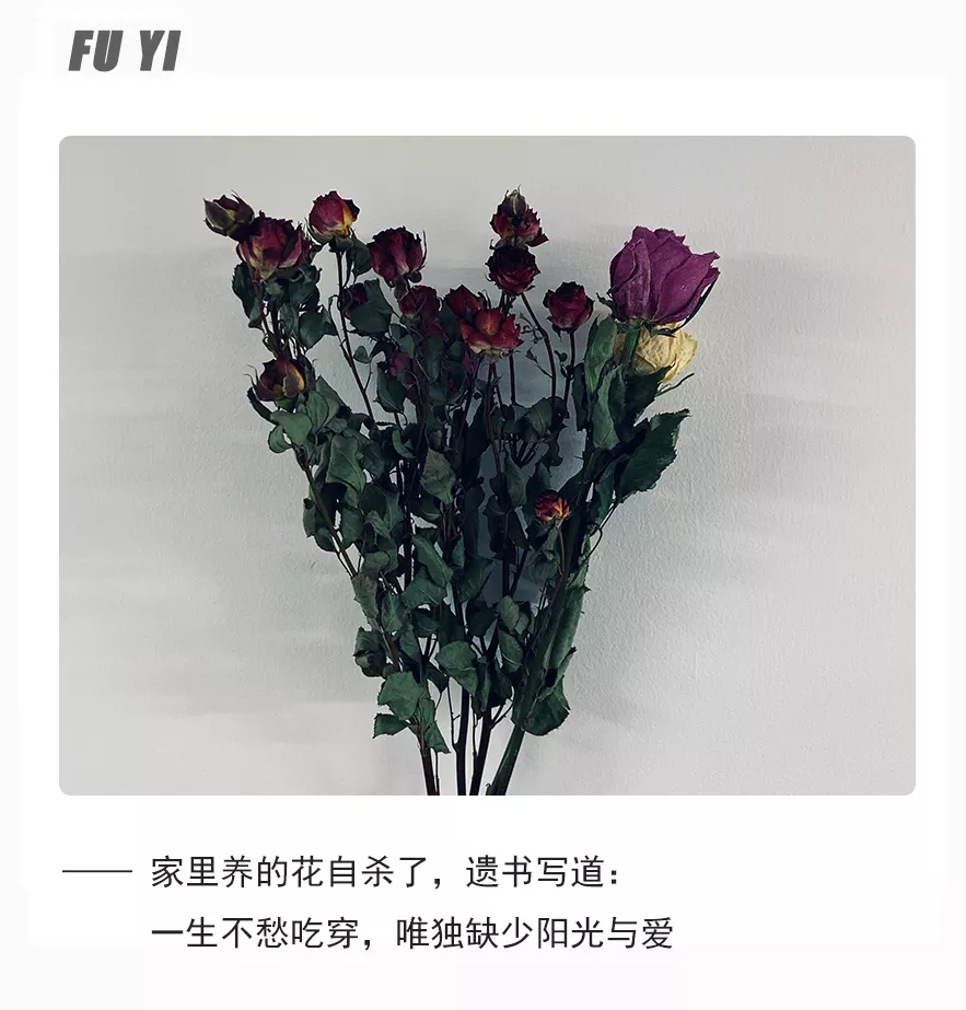 1招打动男人心，高姿态挽回绝情的他