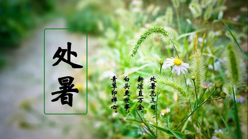 处暑祝福语大全