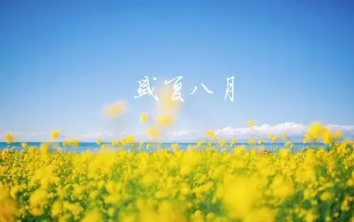 八月快乐祝福语