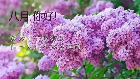 八月快乐祝福语