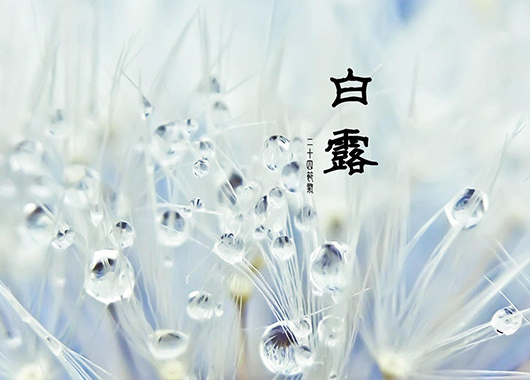 白露的祝福语句子