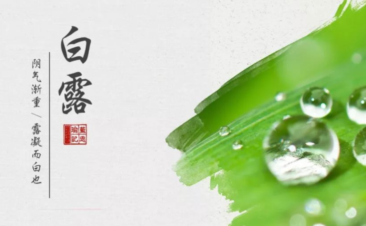 白露的祝福语句子