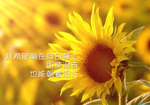 团建展望2021朋友圈文案(43句)