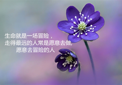 2021年祝福展望愿望(35句)