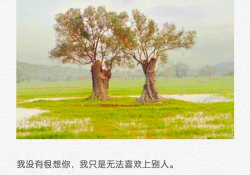 2022年含义深刻的简短句子(46句)