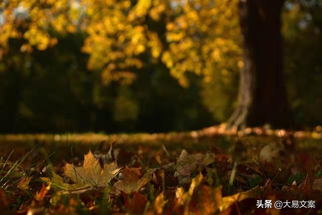 关于被追求的文案励志(热门文案短句励志)