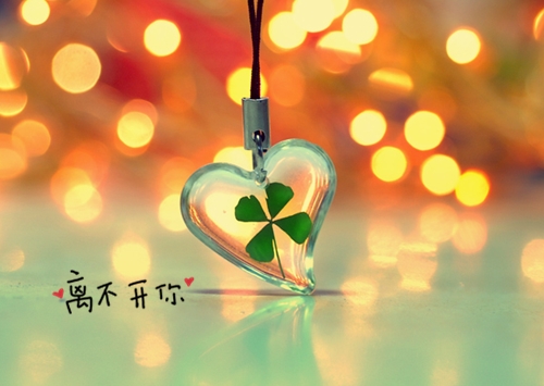 关于团队凝聚力的激励性的句子(66句)
