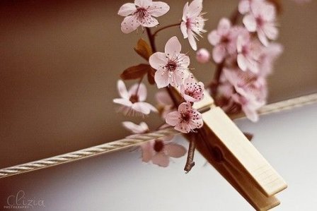 一个人好孤单的图片 一个人好孤单的说说摘抄17句