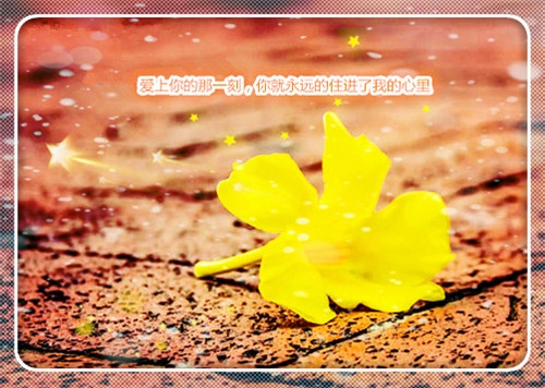 平常心人生领悟句子(29句)