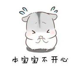 伤感感悟人生的句子 心情不好发朋友圈的句子短句