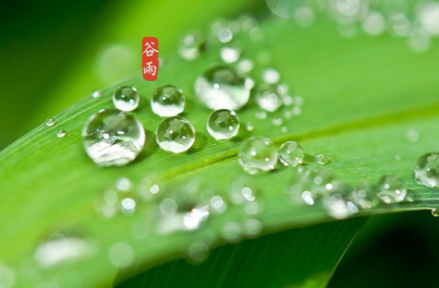 2021谷雨祝福语说说心情早安心语 适合谷雨节气发的朋友圈说说句子