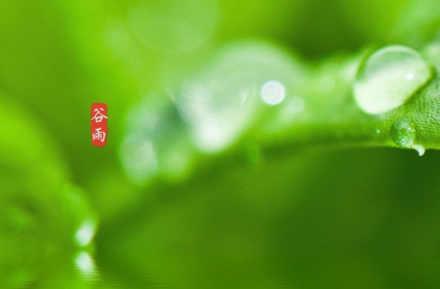 2021谷雨祝福语说说心情早安心语 适合谷雨节气发的朋友圈说说句子