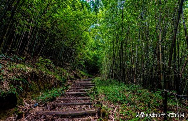 冷寂情感文案(温柔到让人心疼的文案)