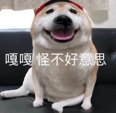 可爱搞笑的朋友圈文案