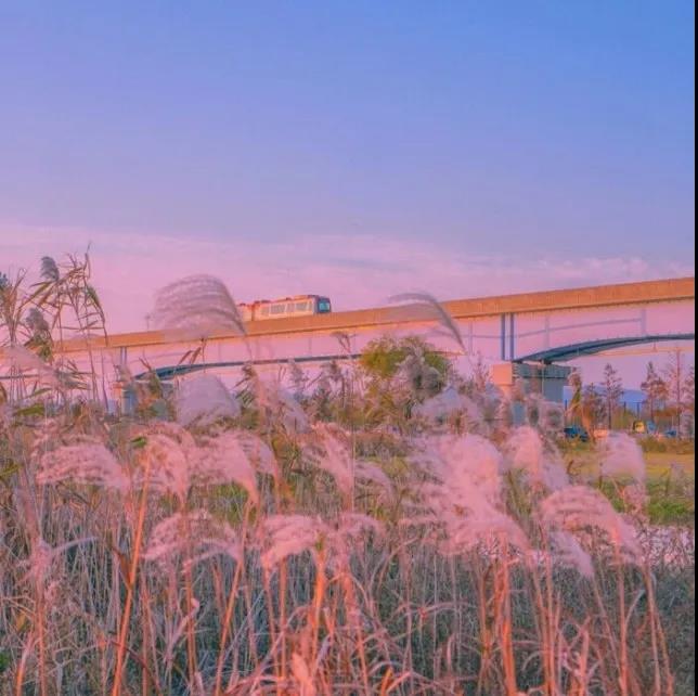 惊艳到你的绝美生僻短句