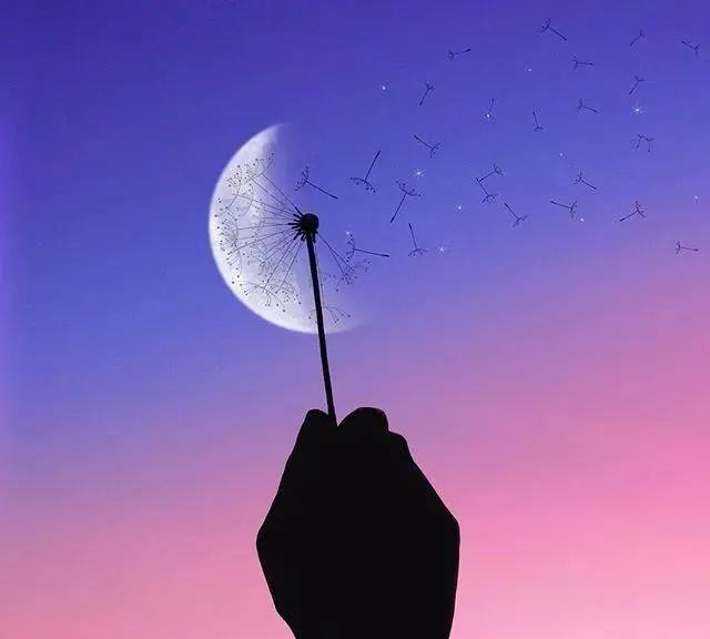 惊艳到你的绝美生僻短句