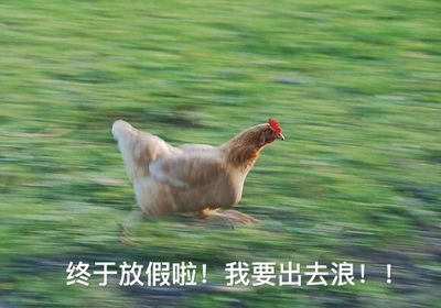 假期开始的放假文案 有意思的放假文案