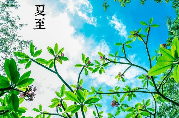 夏至发朋友圈的句子