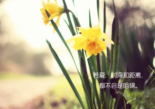 最能打动人心的早安问候(43句)