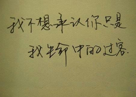 生命中的过客唯美句子