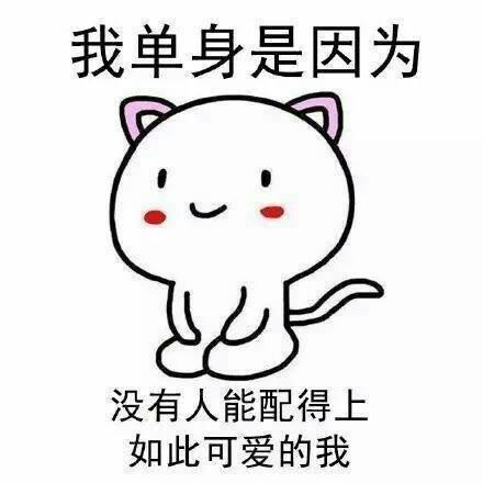 单身酷酷的句子 高傲单身的句子