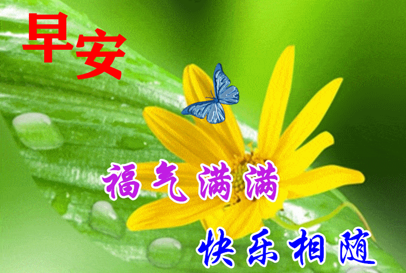 关于月亮励志文案(关于月亮的文案唯美)