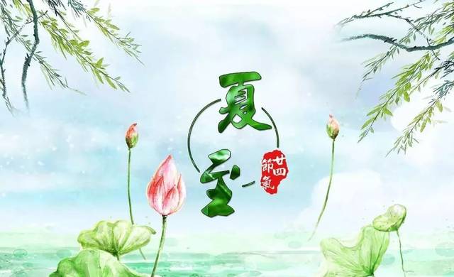 关于夏至的唯美句子