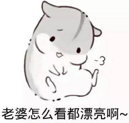适合一生一世我爱你老婆句子