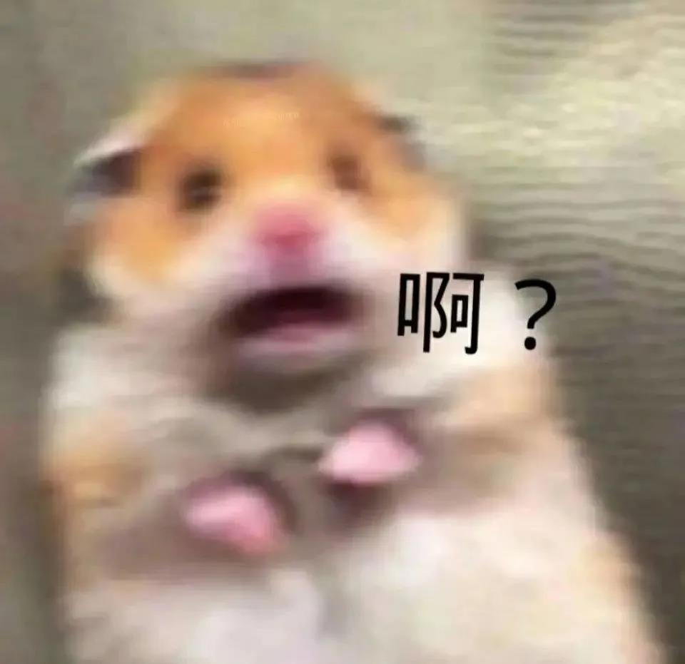 沙雕文案搞笑