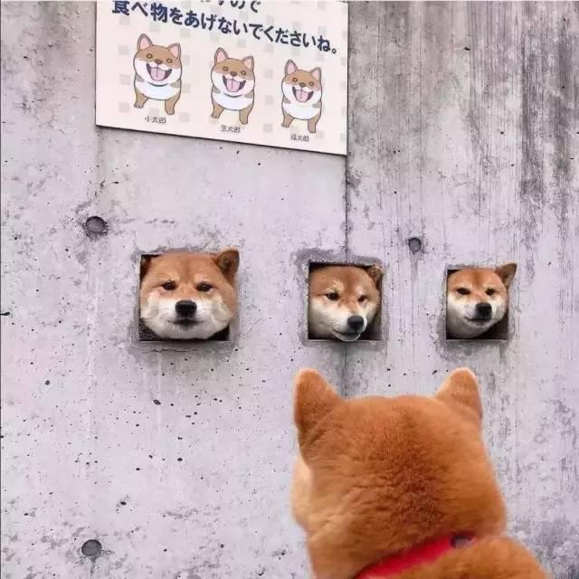 皮痒又欠揍的沙雕文案