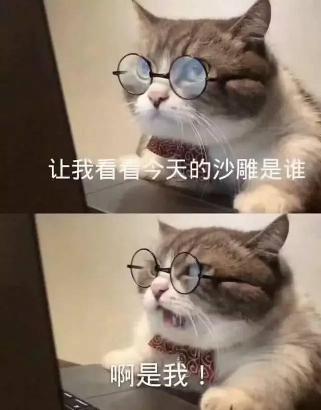 皮痒又欠揍的沙雕文案