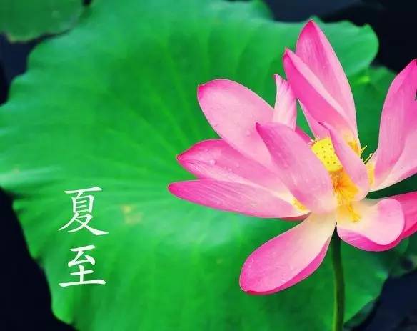 夏至节气怎么发朋友圈祝福语 适合夏至发的早安心语说说文案