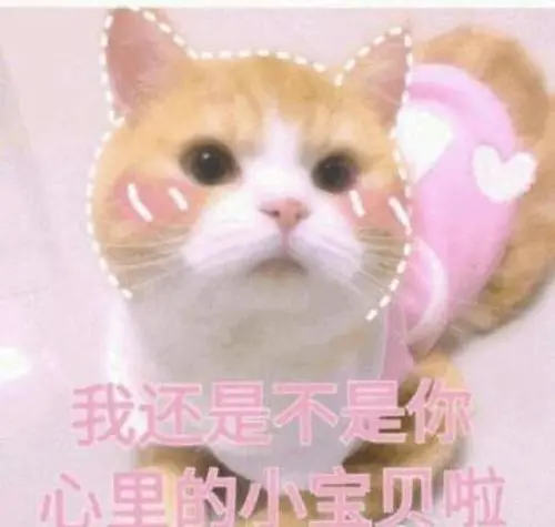 女性撒娇卖萌语录