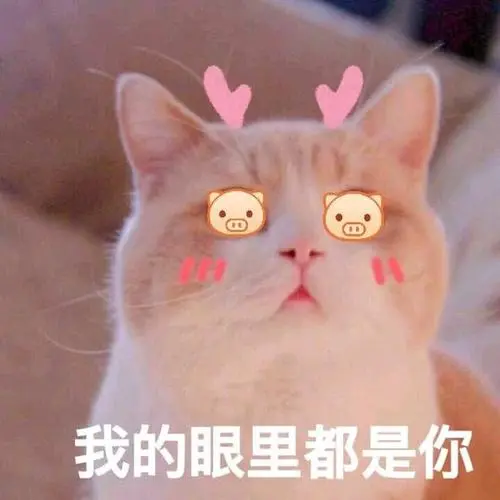 女性撒娇卖萌语录