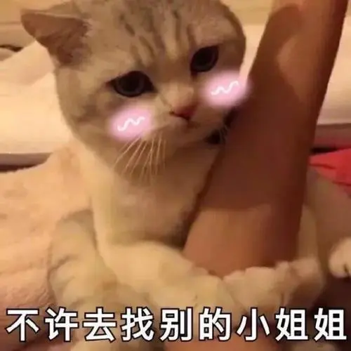 女性撒娇卖萌语录