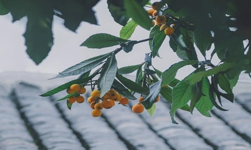 每日一句正能量 充满阳光的励志语录