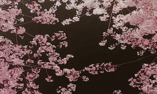 读懂人生的真谛 发朋友圈人生感悟的句子