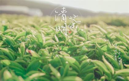 过了谈恋爱的年纪 过了耳听爱情的年纪说说