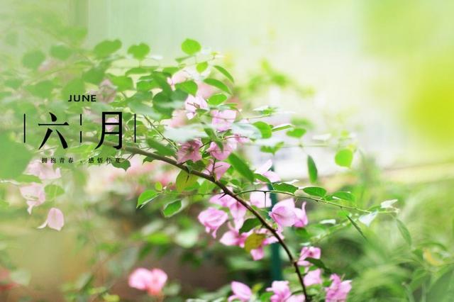 六月唯美一句话 六月你好的唯美句子