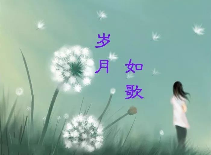 岁月的痕迹唯美句子