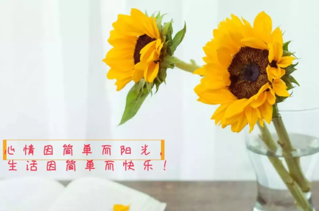 2021容易上热门的伤感文案
